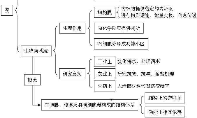 18已分化细胞的特点  1.