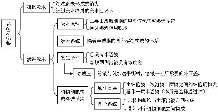 高中生物知识结构图表上