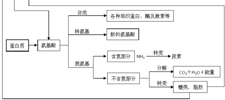 高中生物知识结构图表上