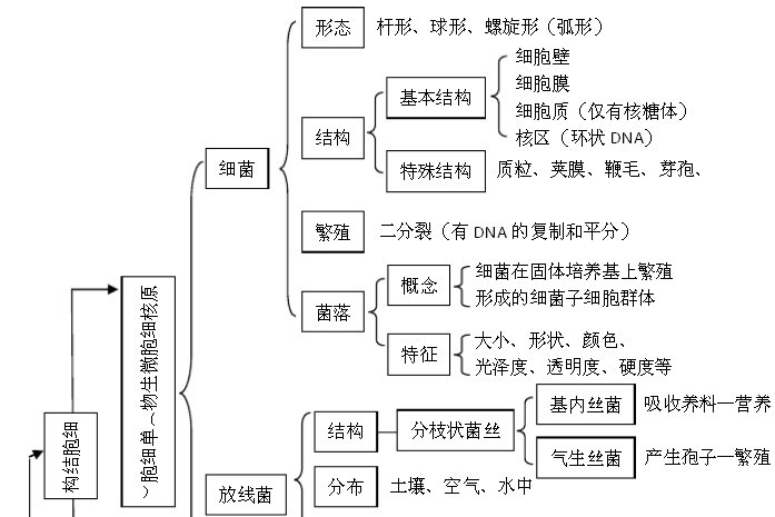 高中生物知识结构图表上