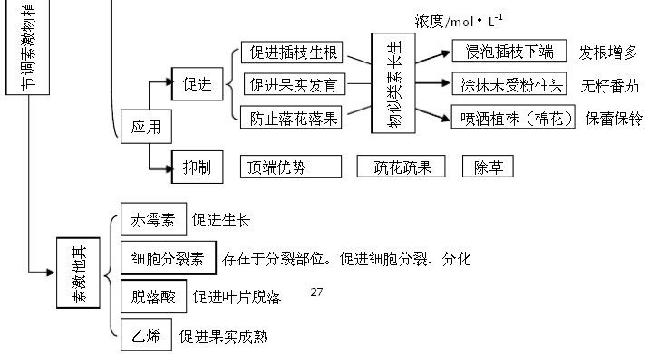 高中生物知识结构图表上