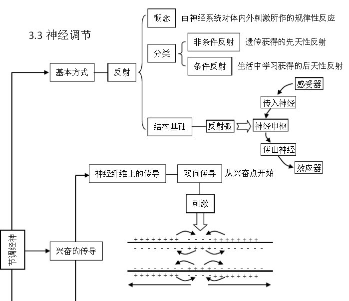 高中生物:知识结构图表(上)