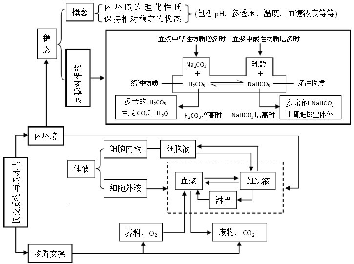 高中生物知识结构图表上