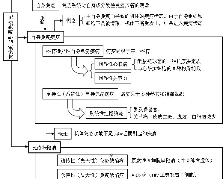 生命活动的调节  (包括植物调节,体液调节,神经调节,内环境与稳态,水