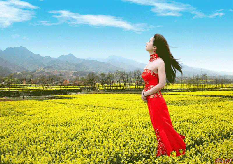 gif.flash风景人物类动图