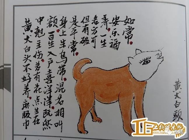 古籍《相犬大全》全本,让你大开眼界!