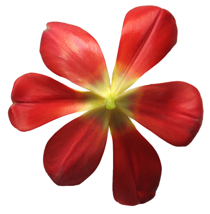 博客制作 原创作品 风景美图 ps教程 美女帅哥 博客美化 生日素材