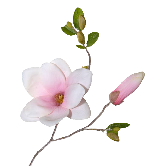 博客制作 原创作品 风景美图 ps教程 美女帅哥 博客美化 生日素材