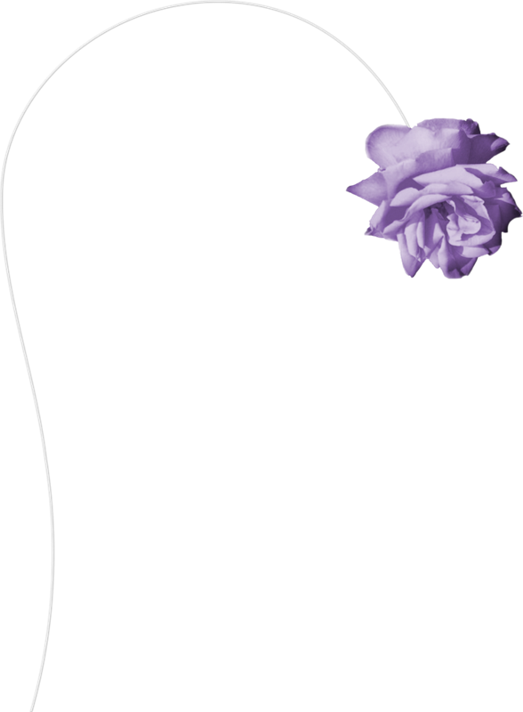 分割线 朋友的祝福 图文欣赏 历史趣闻 背景素材 flash素材 png免抠图