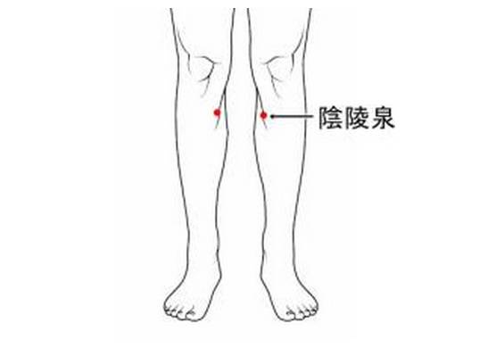 三阴交 小腿内侧,当足内踝尖上10厘米,胫骨