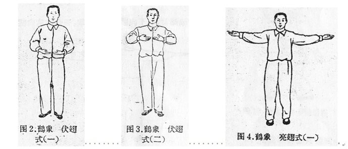 亮翅式:由上式起,两手自胸前向左右分开伸直,两手心仍向上,同时丹田
