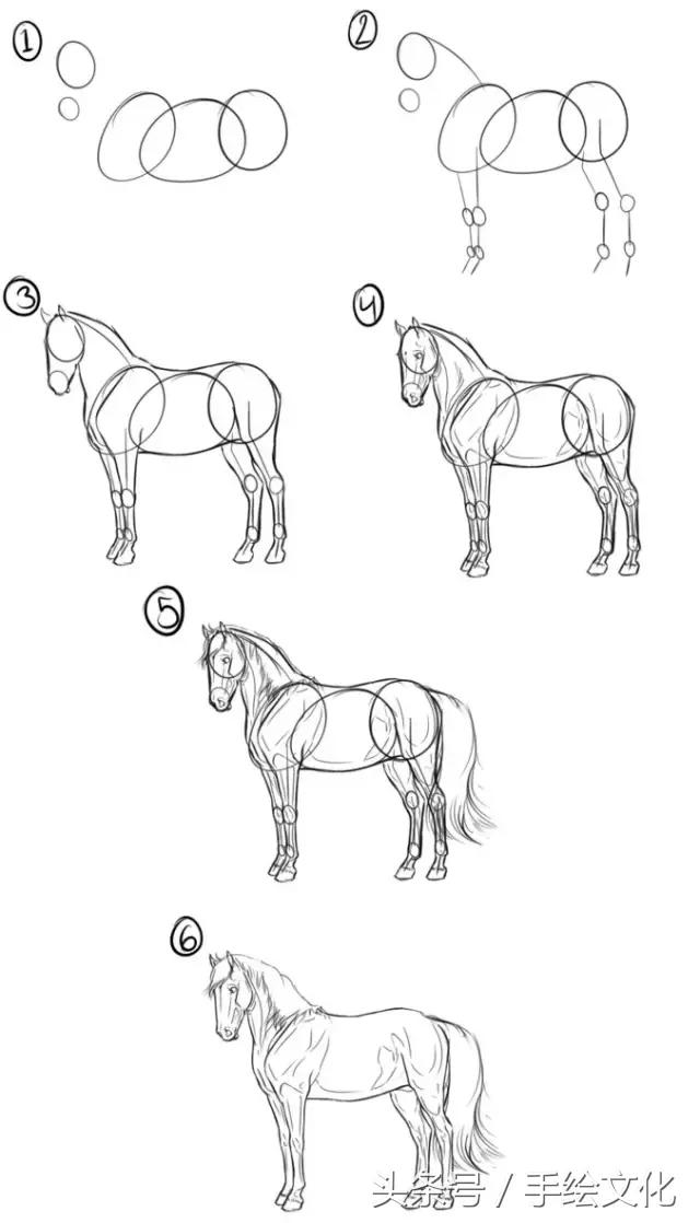 画马的动态结构分解及详细教程图