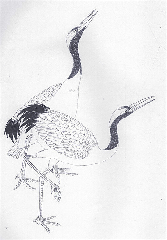名家白描花鸟之仙鹤篇