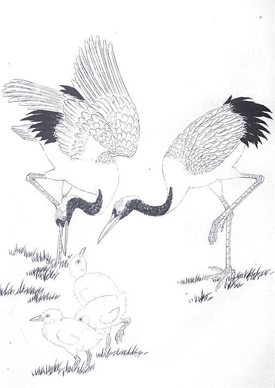 名家白描花鸟之仙鹤篇
