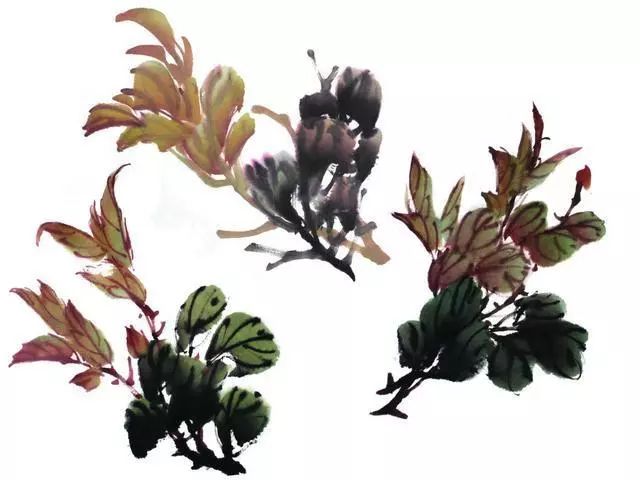 牡丹花头和花叶的三十种画法,让你学画事半功倍