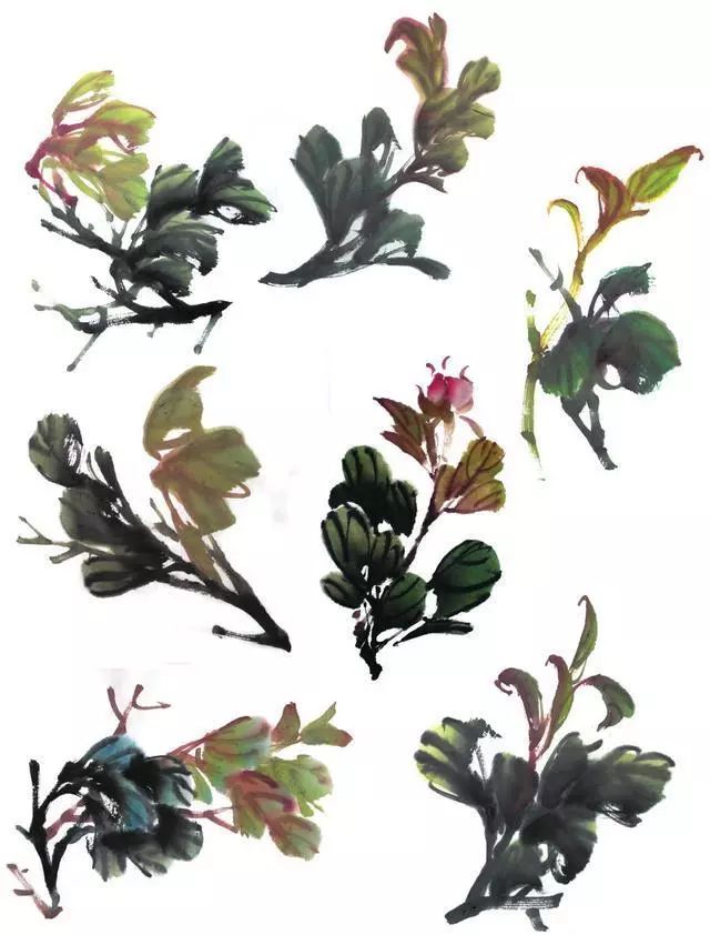 牡丹花头和花叶的三十种画法让你学画事半功倍