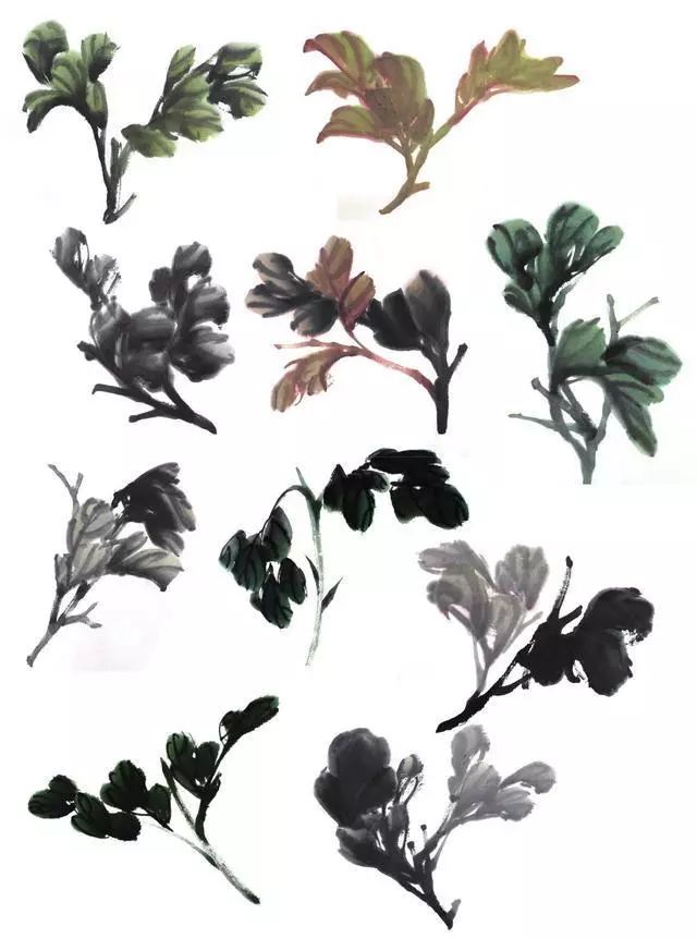 牡丹花头和花叶的三十种画法,让你学画事半功倍