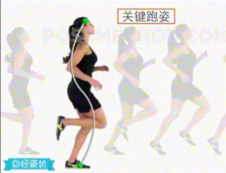 假如你是健身小白,你不可错过这个完美的健身方案