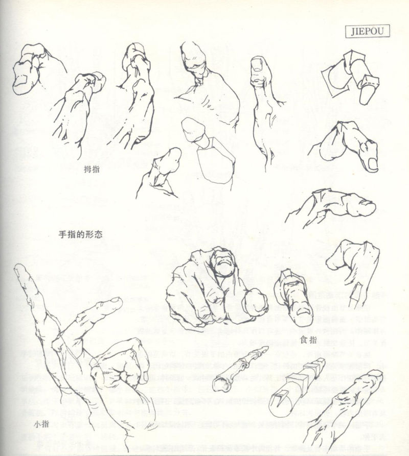 人体造型基础 (上)
