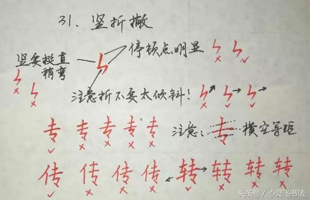31,竖折撇