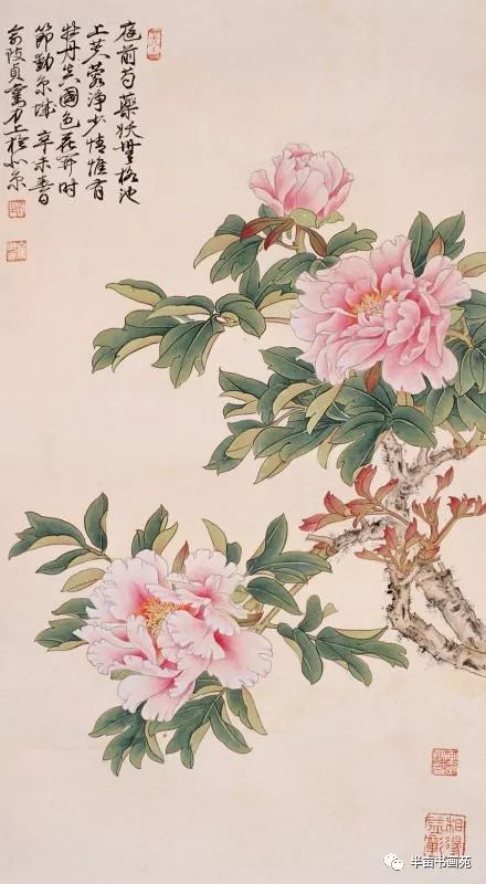 庭前芍药