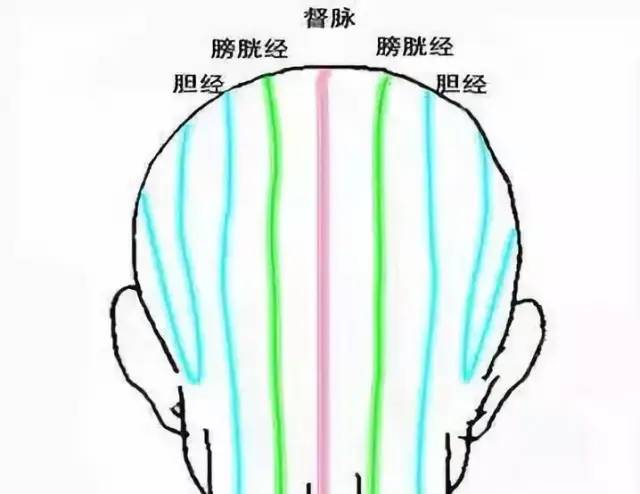 2,手法【方法】人体头顶发际线正中间是 督脉,督脉左右侧旁2.