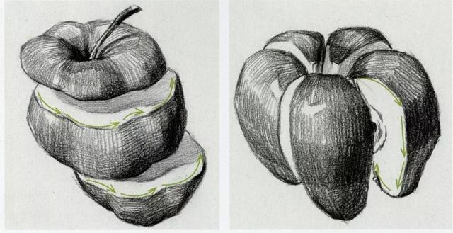 超强干货丨素描水果之苹果和梨