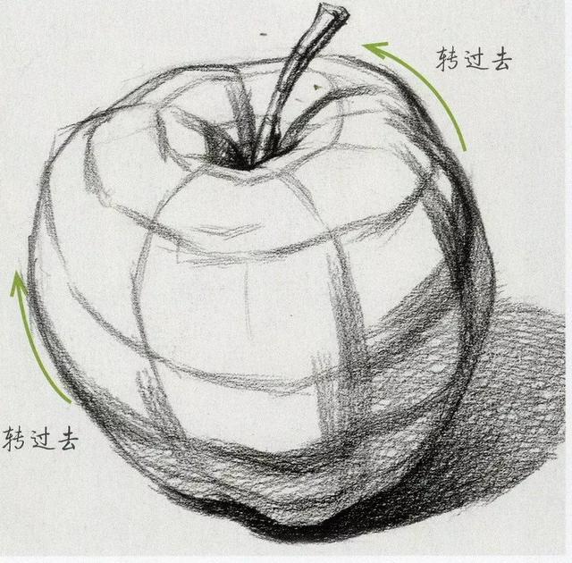 超强干货丨素描水果之苹果和梨