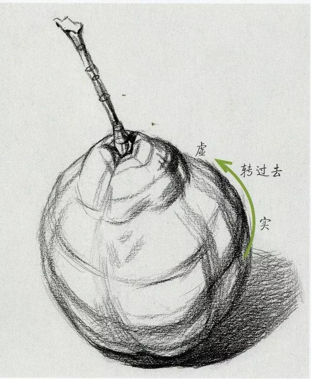 超强干货丨素描水果之苹果和梨