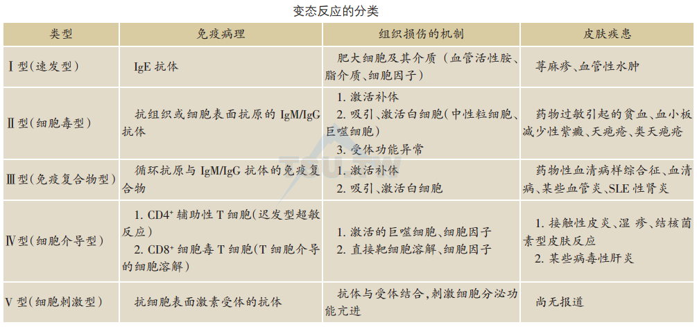 变态反应超敏反应过敏反应