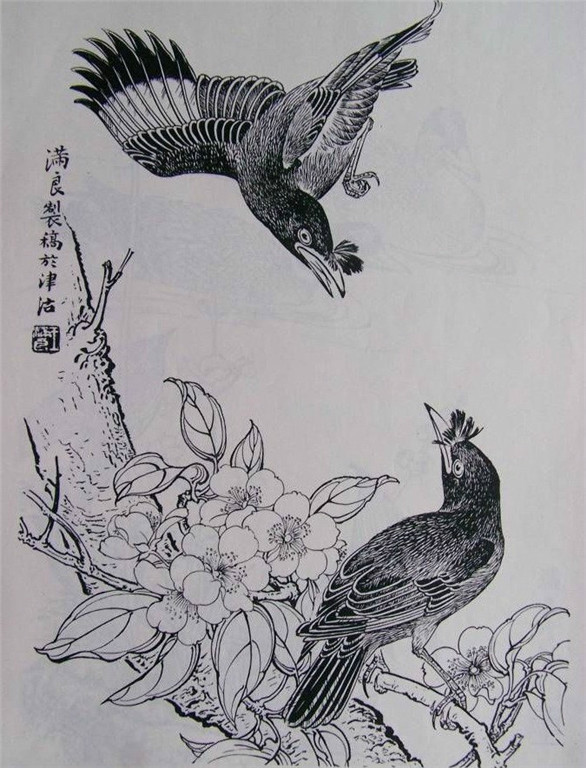 国画家王满良工笔白描花鸟稿10p