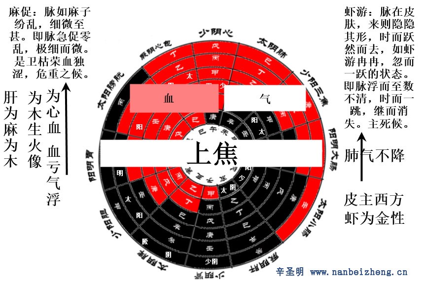 辛圣明:破译十怪脉的空间力学原理