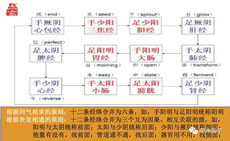 草木医学之人在气中气在人中三圆催化一气周流