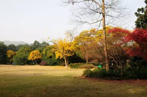 步移景异——浅析花港观鱼公园园路的植物配置