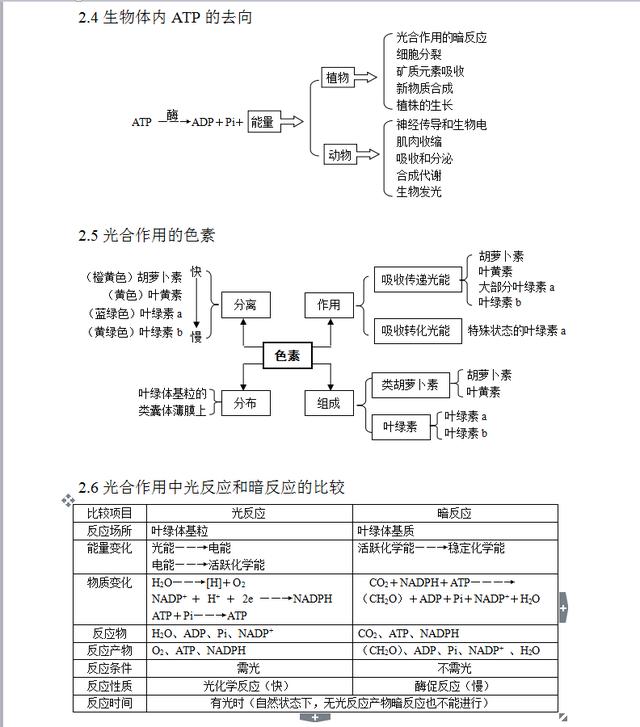 生物老师:高一到高三的所有生物知识点全在这了!掌握