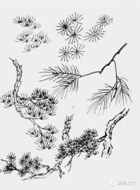 【图文示范教程】松树的画法(5)