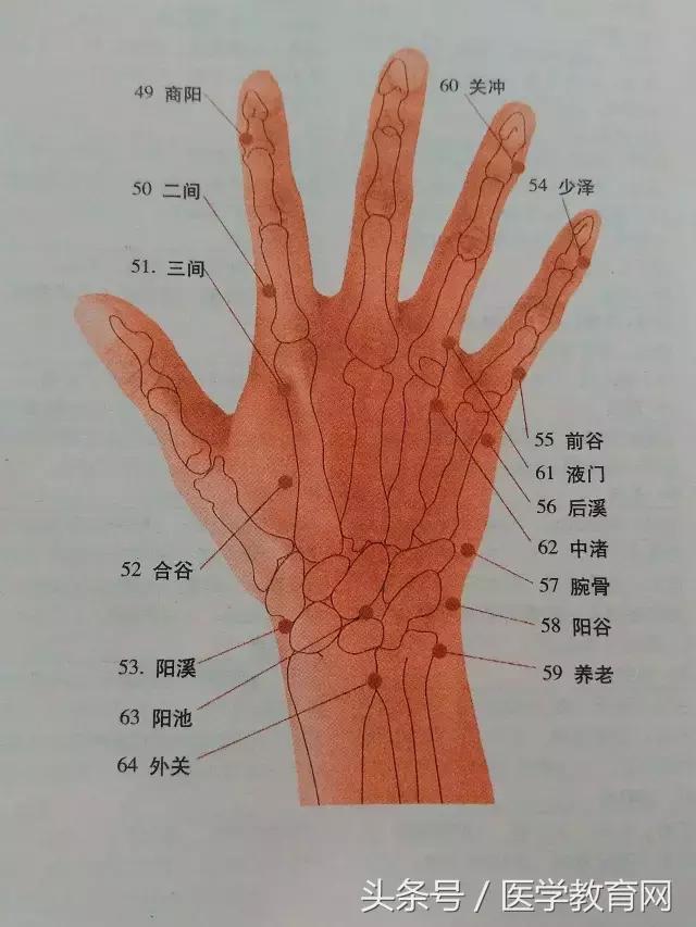 图文:最详细的人体穴位图解,转给身边热爱中医的人