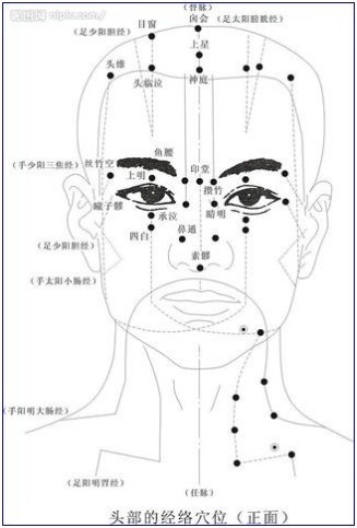 放气:用鱼型刮痧板头部的平面,按揉后拖至同一条经络线上的下一个穴位