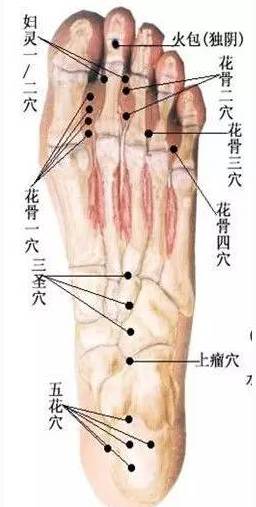 董氏针灸七十二绝收藏篇