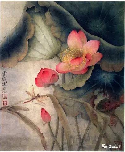 图文教程:工笔荷花画法步骤