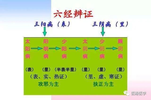 六经提纲诀(真正的六经辨证提纲)