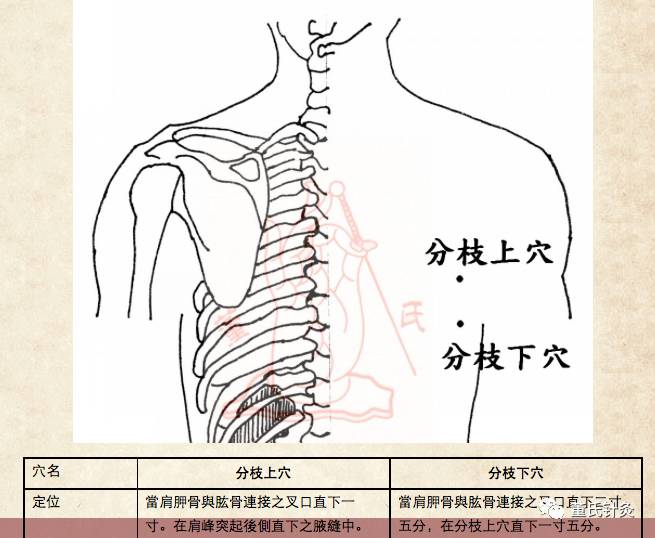 董氏针灸糖尿病处方【上三黄,下三皇,通肾通胃通背,分枝上下放血