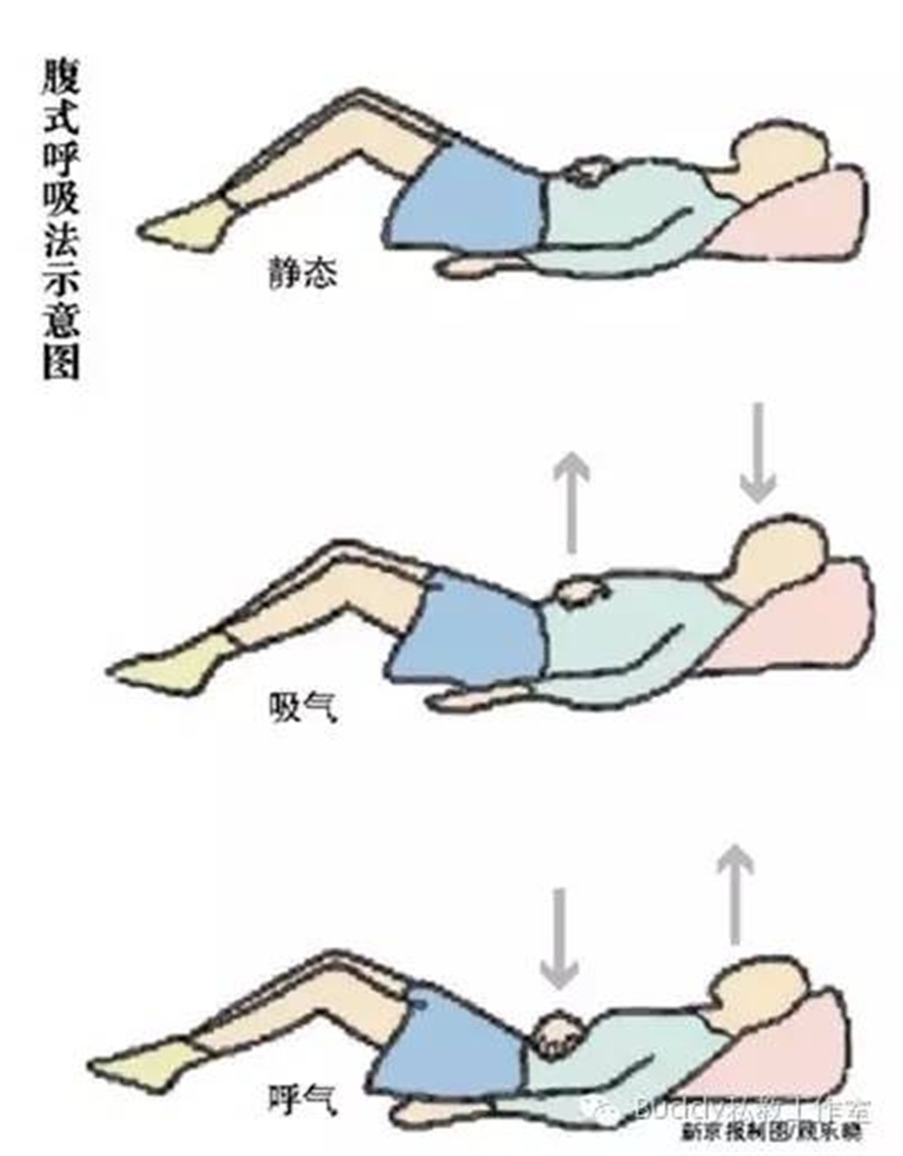 前人因不知道腹腔内的横膈肌,因此把横膈肌的上下运动误以为是气息