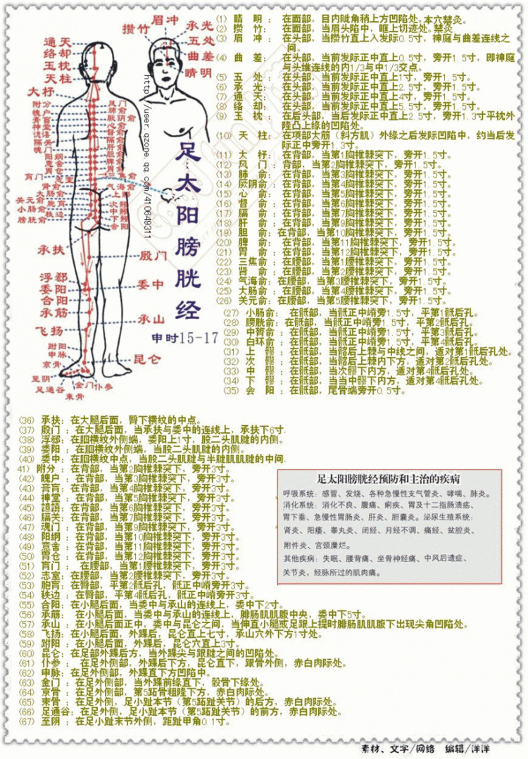 【经络穴位】人体经络穴位图 (含取穴方法)