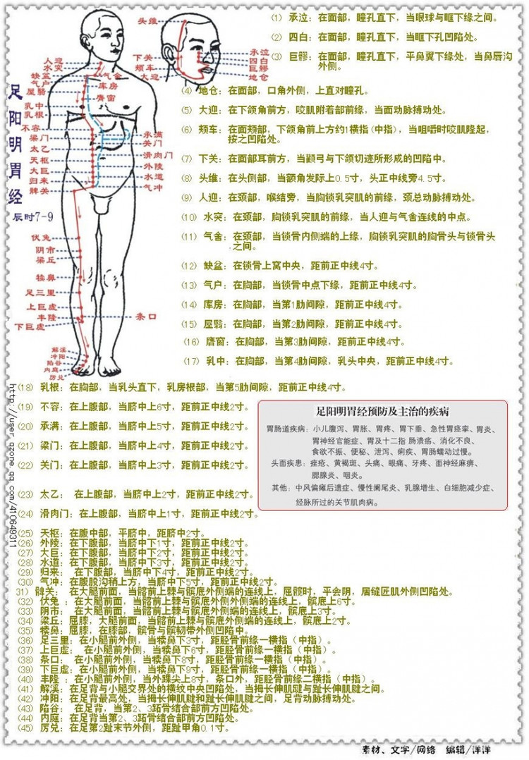 经络穴位人体经络穴位图含取穴方法