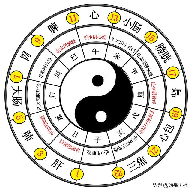 《易学蒙正》:人体能量太极图