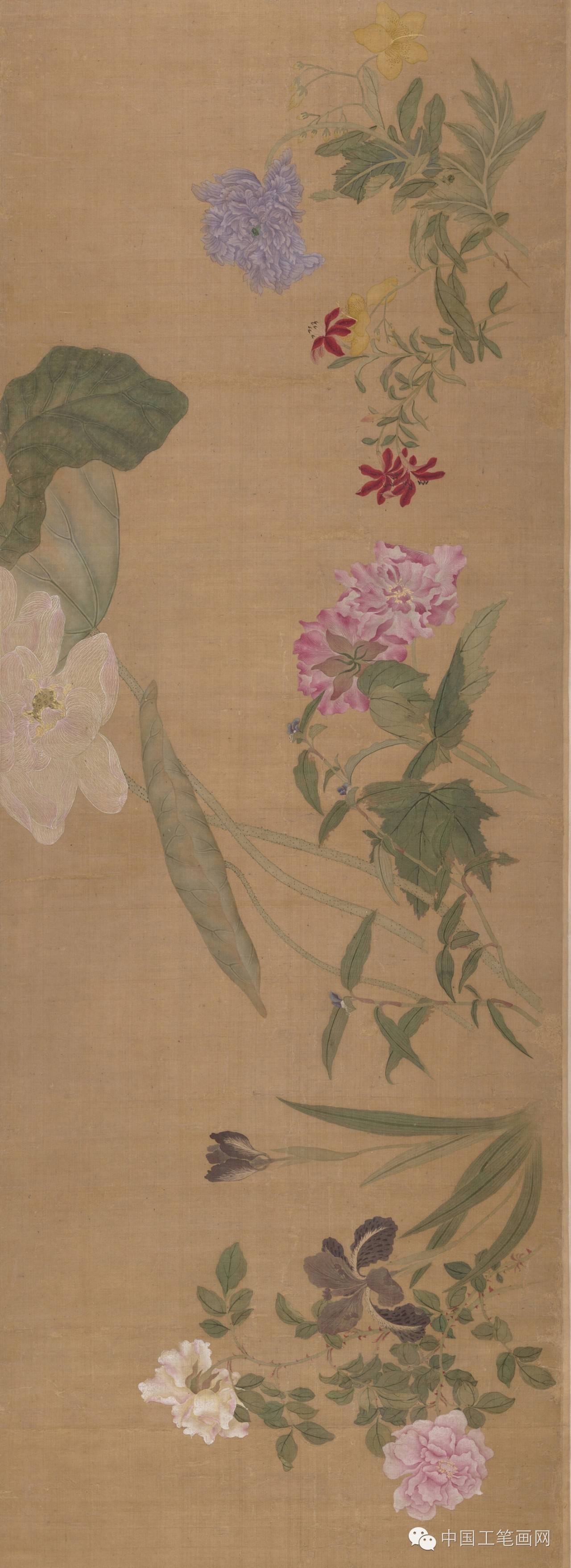 清·恽寿平没骨画精品《百花图卷》高清欣赏