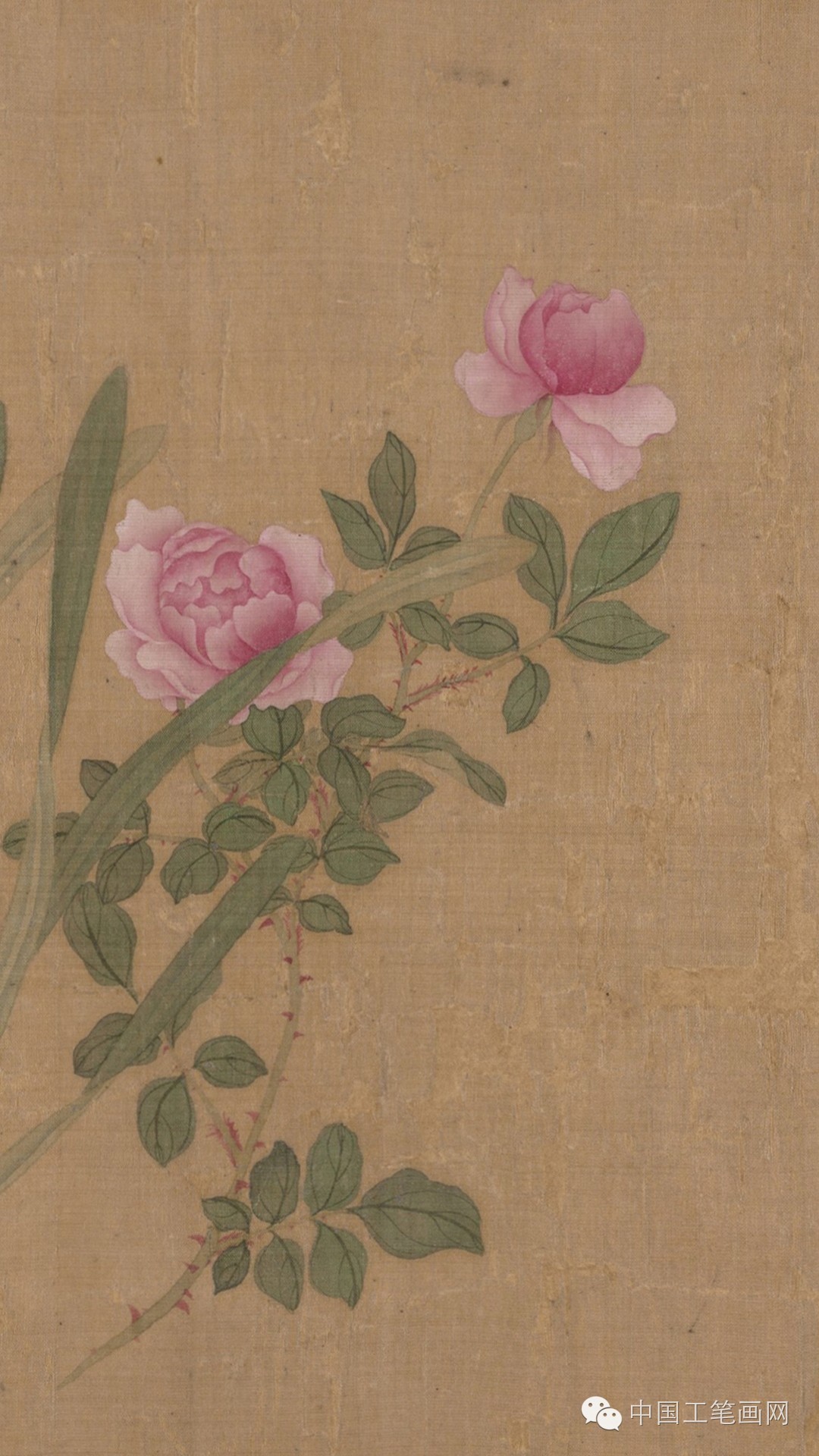 清·恽寿平没骨画精品《百花图卷》高清欣赏