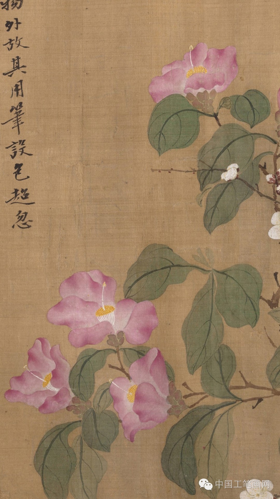 清·恽寿平没骨画精品《百花图卷》高清欣赏