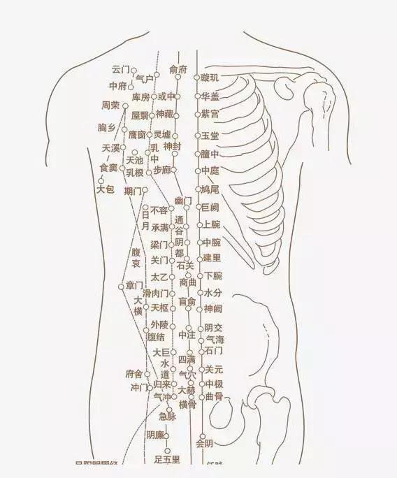 超清晰穴位图文医院50个中医针灸常用穴位功效图